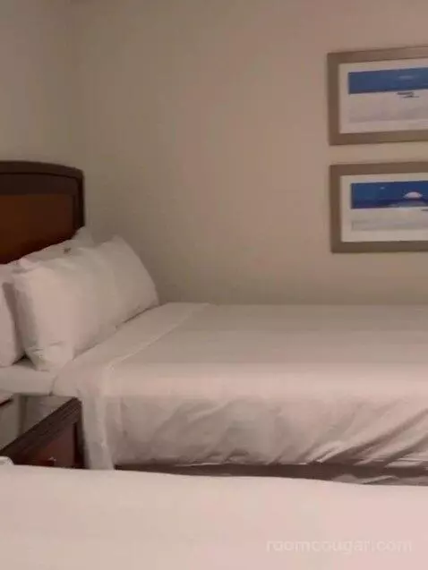Two-Bedroom Villa bed picture #6