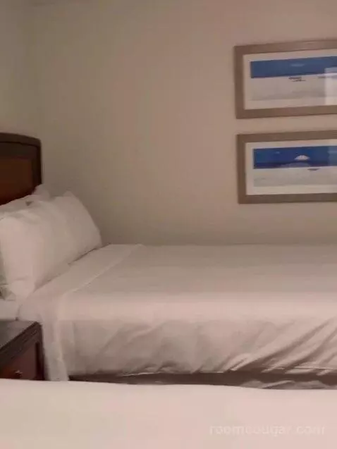 Two-Bedroom Villa bed picture #7
