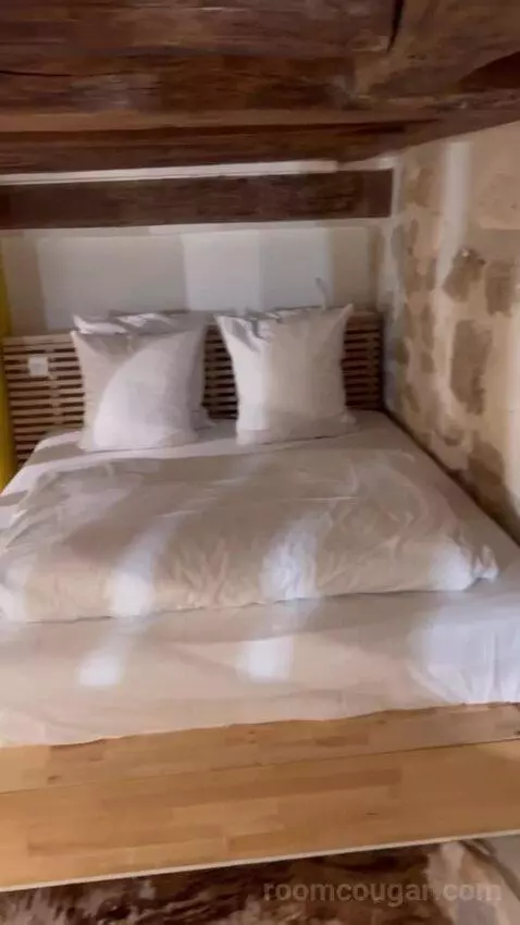 Jr Suite (Spring break) bed picture #1