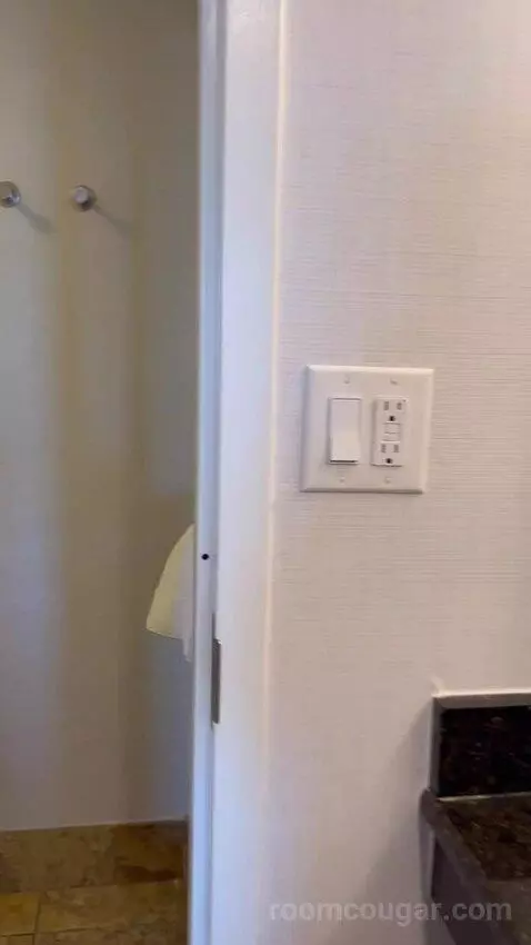 One-Bedroom King Suite with Whirlpool (#802) picture #11