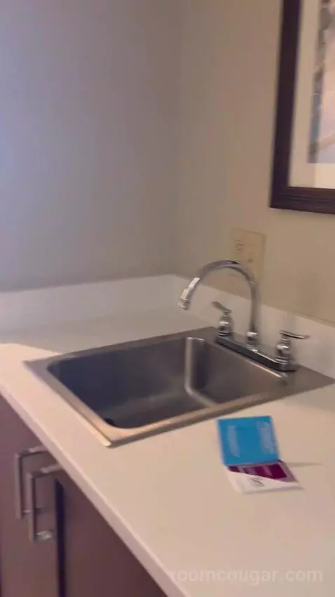 One-Bedroom King Suite with Whirlpool (#802) picture #3