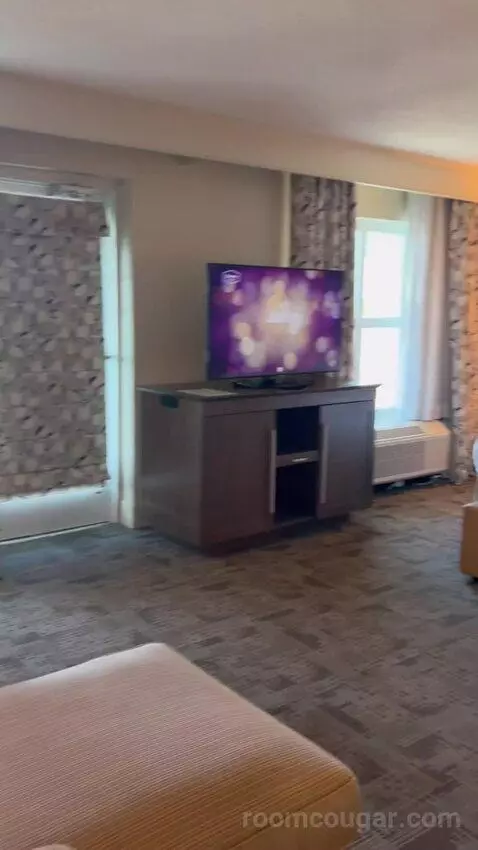 One-Bedroom King Suite with Whirlpool (#802) picture #5