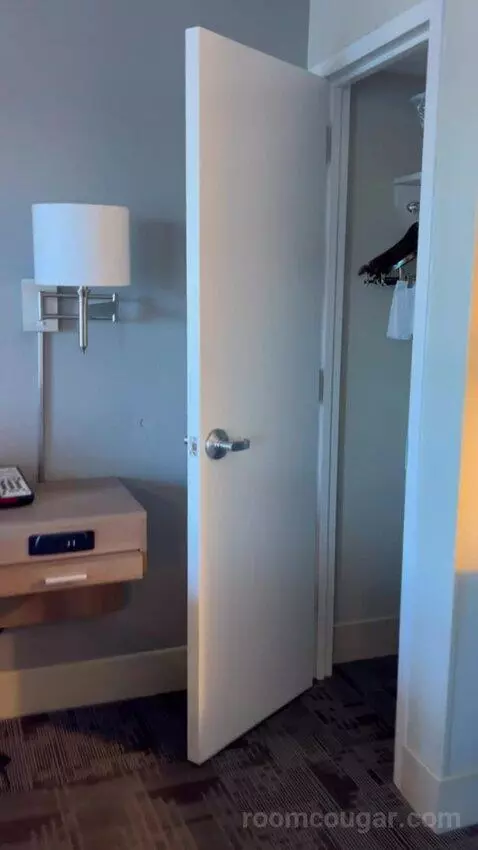 One-Bedroom King Suite with Whirlpool (#802) picture #7