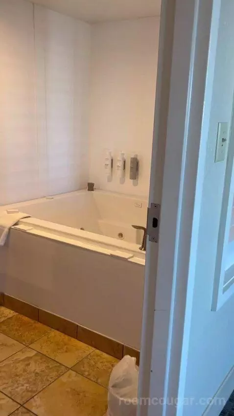 One-Bedroom King Suite with Whirlpool (#802) picture #9