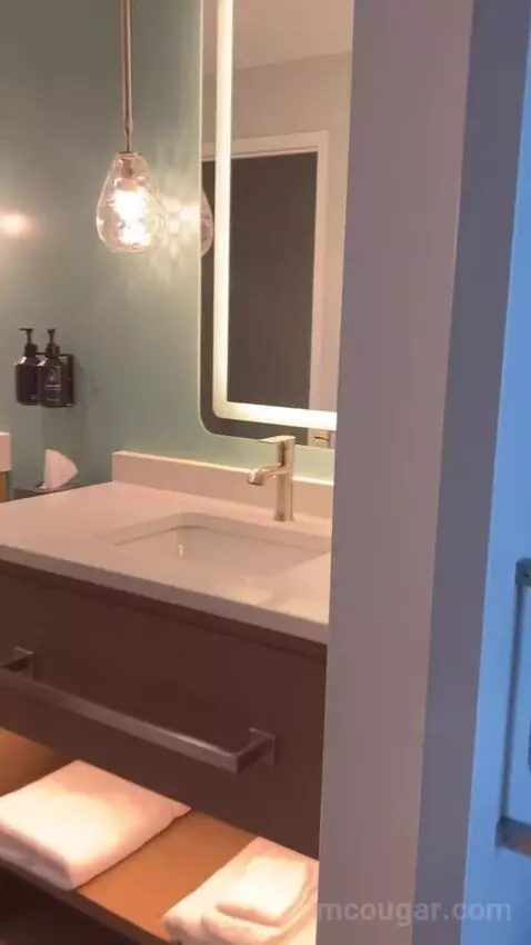 Two-Bedroom Signature Collection (#335) bathroom picture #4