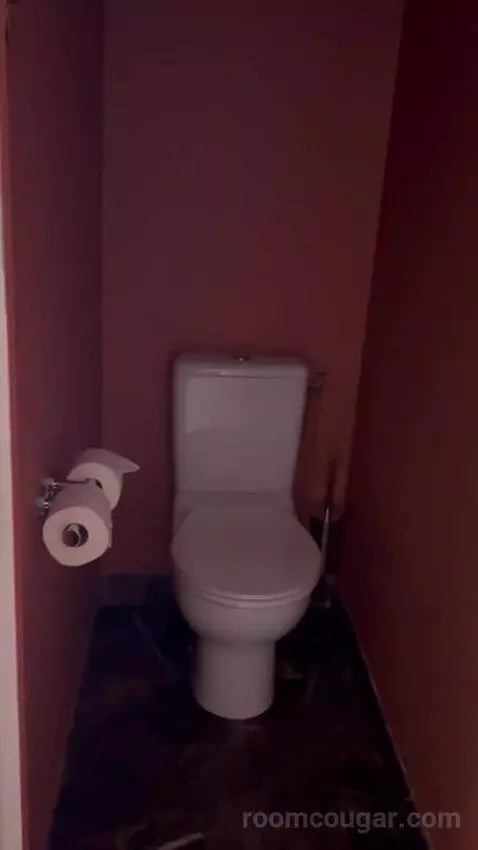 Classic Double Room (#30) bathroom picture #2