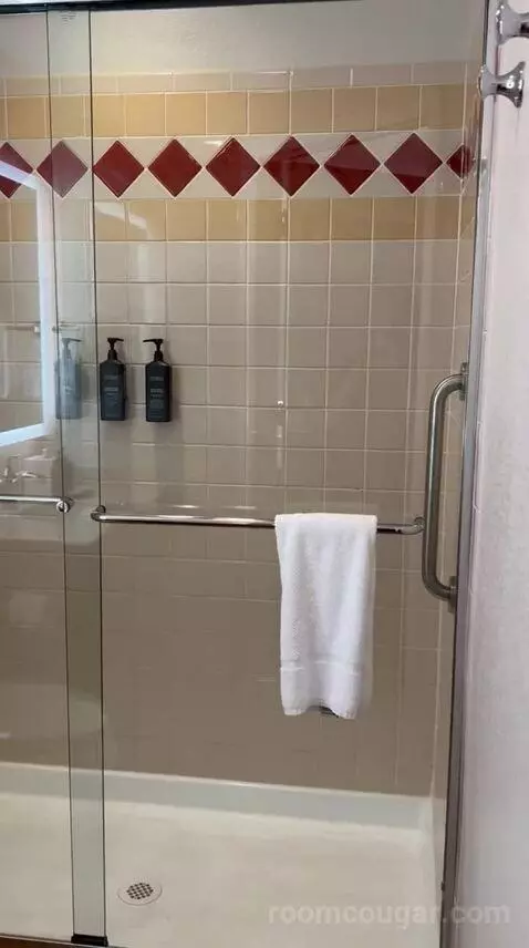 Two-Bedroom Villa with Balcony (#502) bathroom picture #9