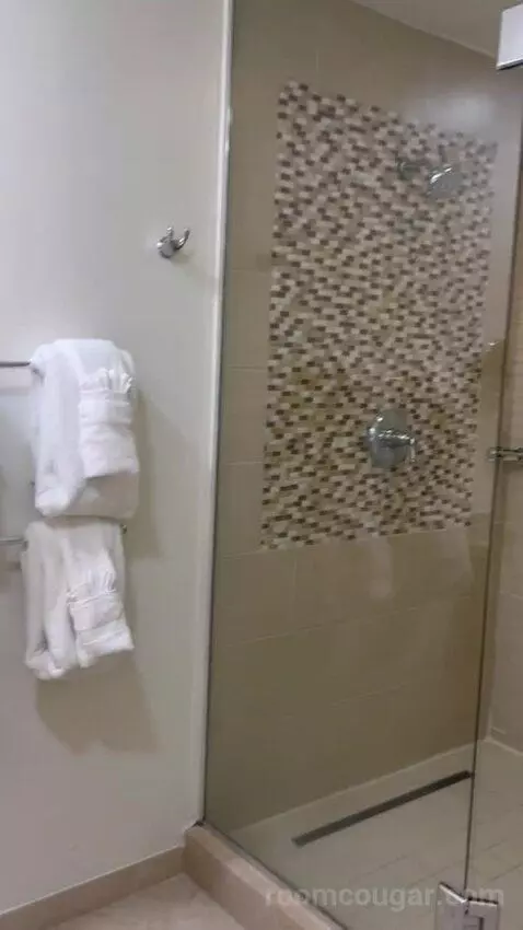 Two Bedroom Oceanfront Villa (#3842) bathroom picture #11