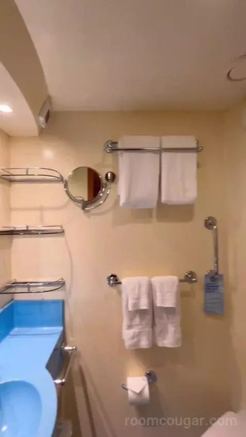 Interior Stateroom (#7344) bathroom picture #7