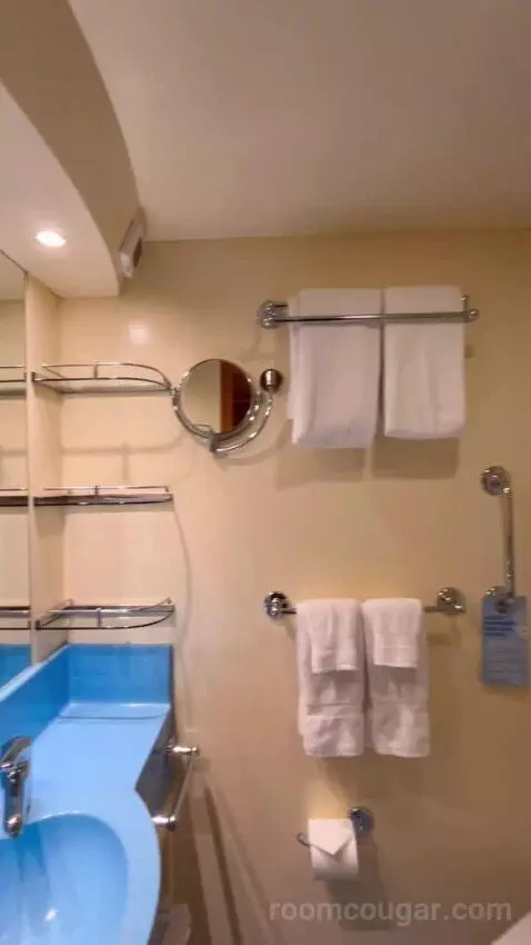 Interior Stateroom (#7344) bathroom picture #8