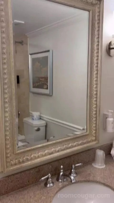 Shores Double Guestroom (#829) bathroom picture #1