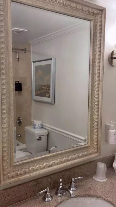 Shores Double Guestroom (#829) bathroom picture #4