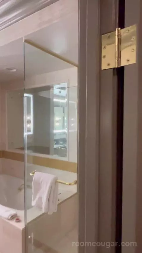 Venetian Luxury Two Queen Suite (#14533) bathroom picture #1