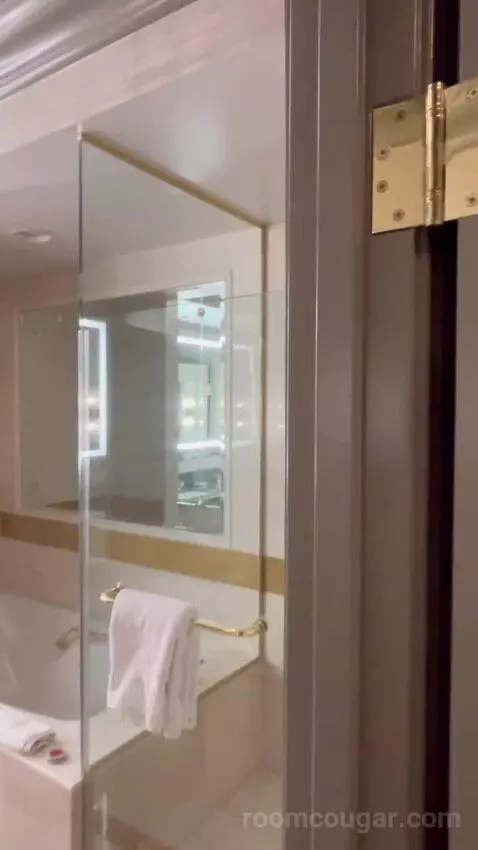 Venetian Luxury Two Queen Suite (#14533) bathroom picture #2