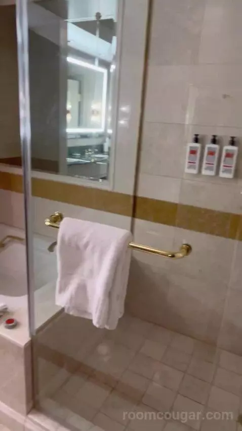 Venetian Luxury Two Queen Suite (#14533) bathroom picture #3
