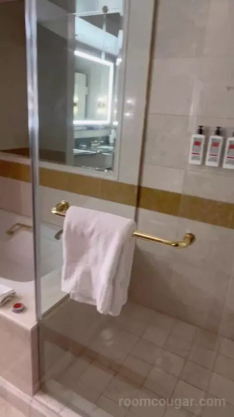 Venetian Luxury Two Queen Suite (#14533) bathroom picture #4
