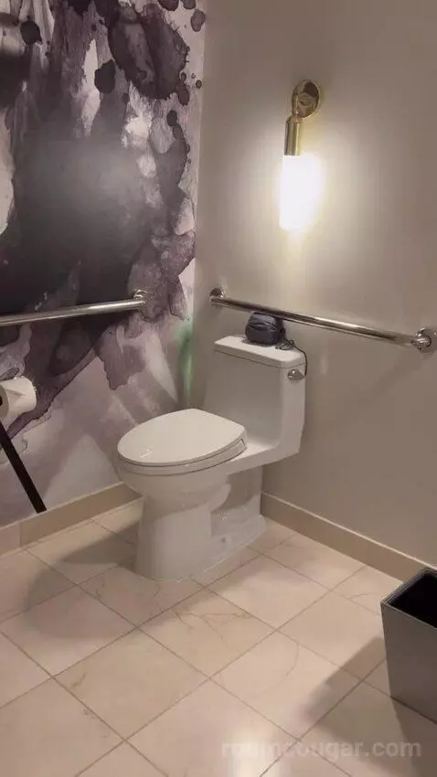 Chelsea Tower, Wraparound Balcony Wheelchair Accessible (#1602) bathroom picture #4