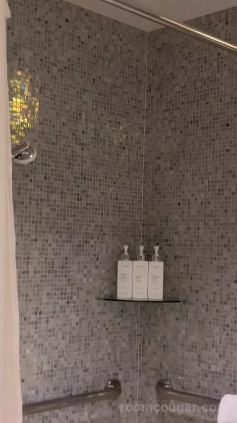 Chelsea Tower, Wraparound Balcony Wheelchair Accessible (#1602) bathroom picture #6