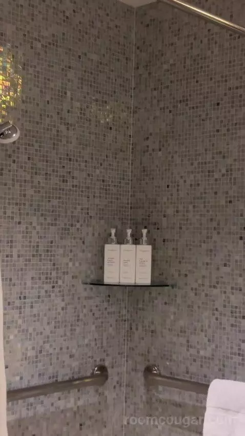 Chelsea Tower, Wraparound Balcony Wheelchair Accessible (#1602) bathroom picture #8