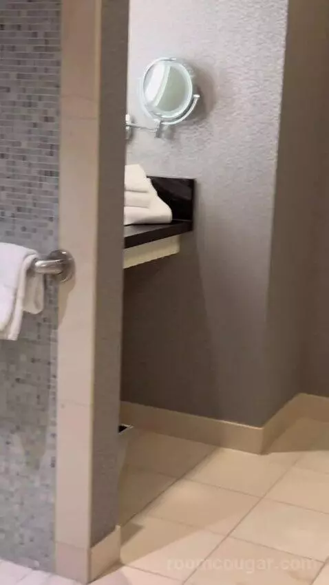 Chelsea Tower, Wraparound Balcony Wheelchair Accessible (#1602) bathroom picture #11