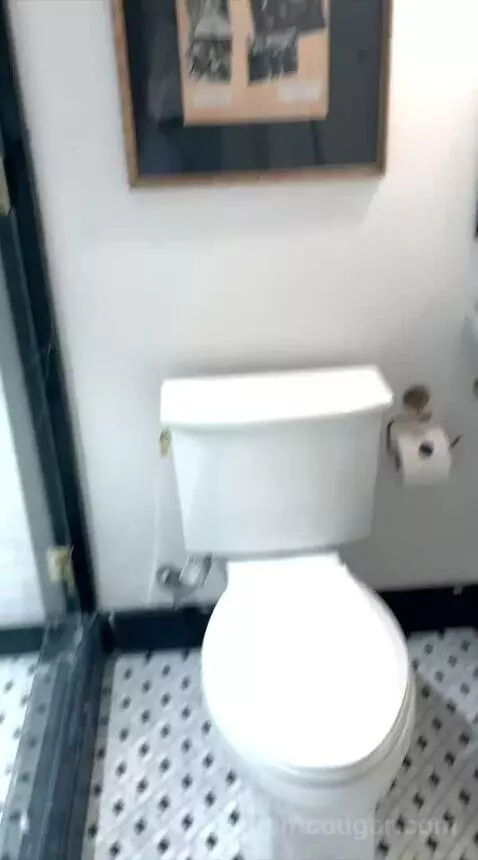 Superior King Room (#4) bathroom picture #9