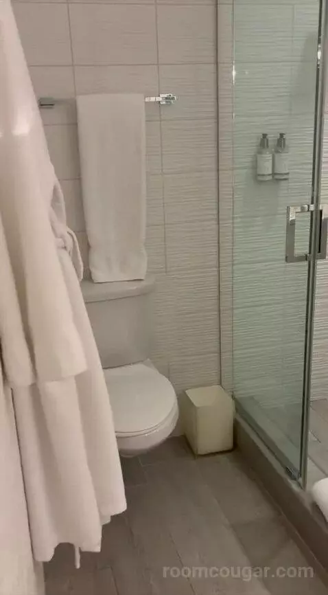 Premier Room (#1106) bathroom picture #4