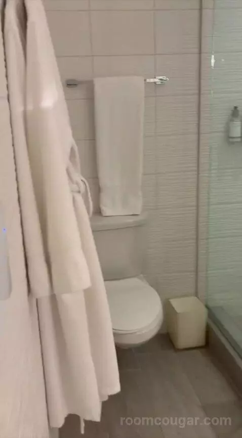 Premier Room (#1106) bathroom picture #6