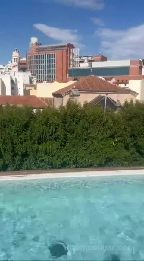 Penthouse Suite, 1 Bedroom (Penthouse) view picture #1