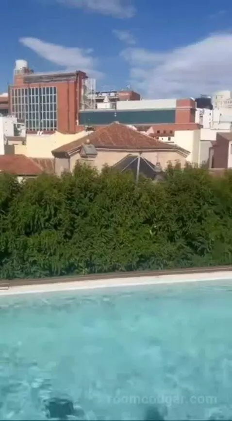 Penthouse Suite, 1 Bedroom (Penthouse) view picture #2