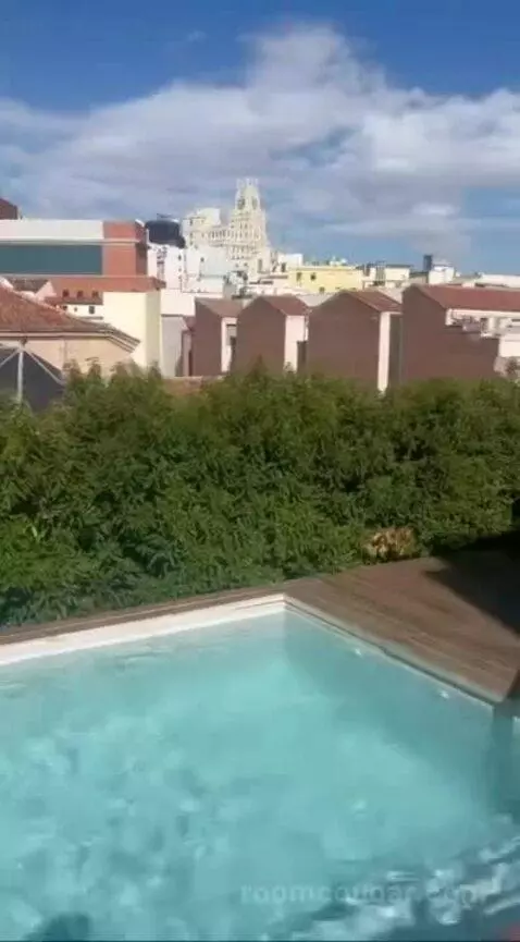 Penthouse Suite, 1 Bedroom (Penthouse) view picture #6
