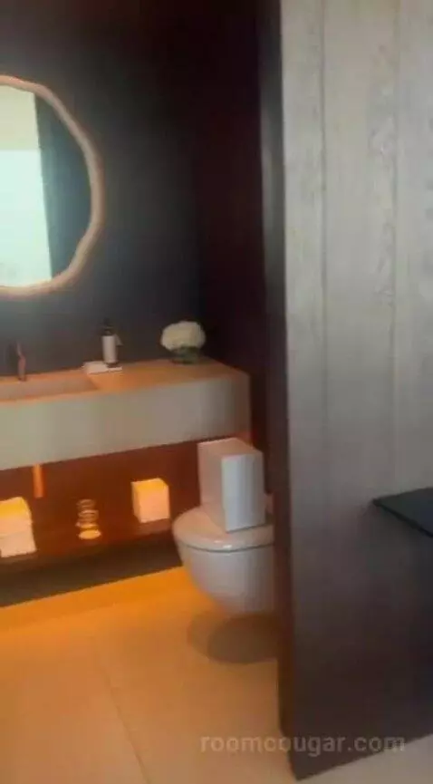 Penthouse Suite, 1 Bedroom (Penthouse) bathroom picture #4