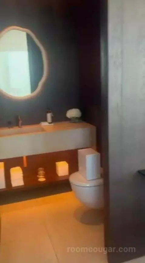 Penthouse Suite, 1 Bedroom (Penthouse) bathroom picture #5