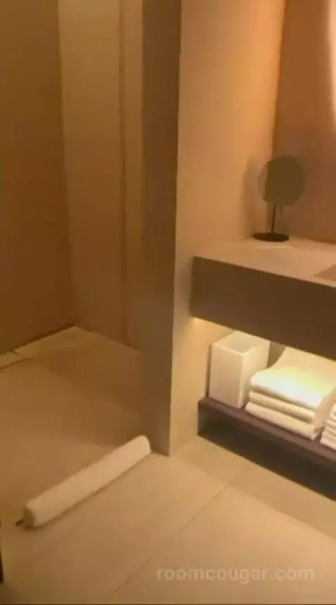 Deluxe King Room with City View bathroom picture #1