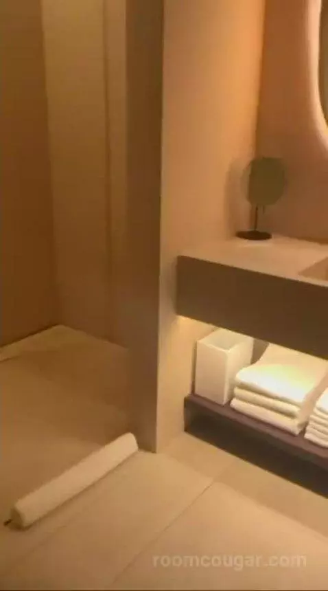 Deluxe King Room with City View bathroom picture #2