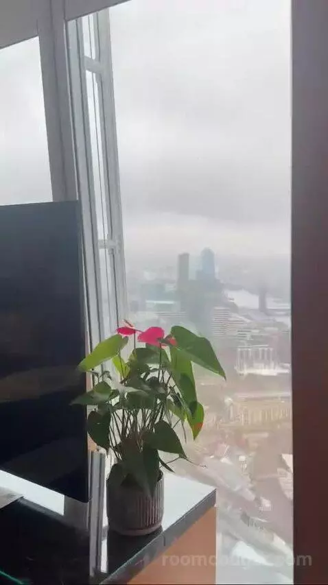 Iconic Shard Suite view picture #2
