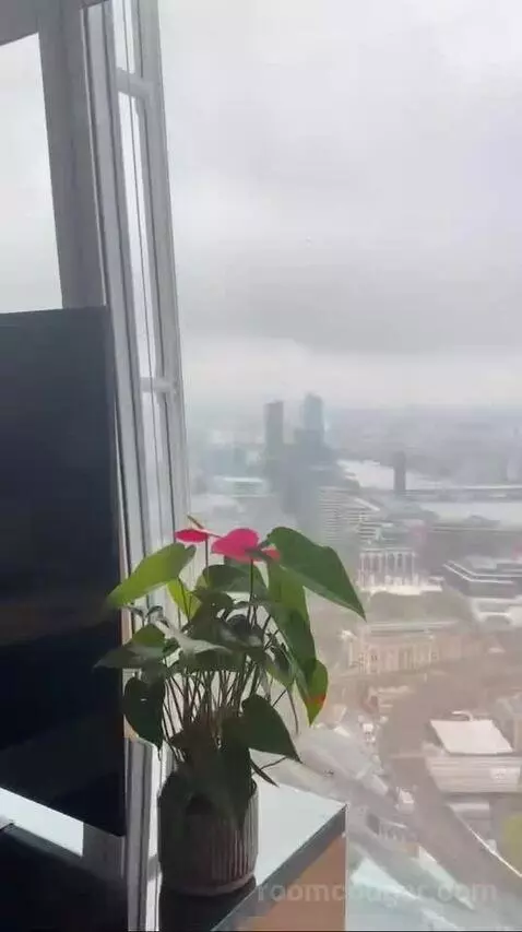 Iconic Shard Suite view picture #3