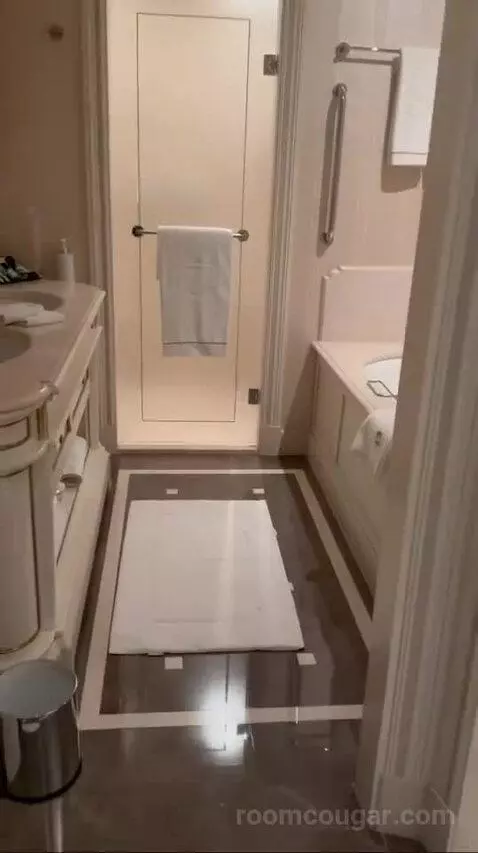 Junior Suite bathroom picture #3