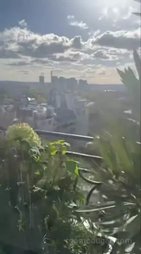 La Suite Chaillot view picture #2