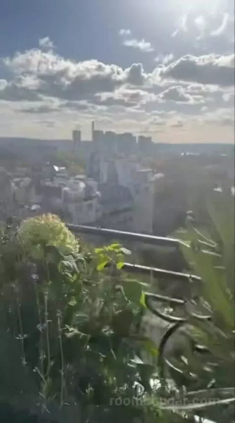 La Suite Chaillot view picture #3