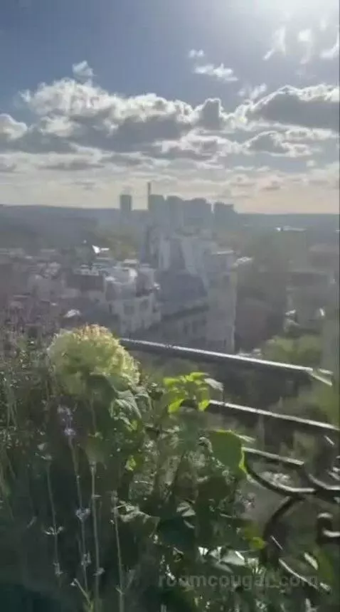 La Suite Chaillot view picture #4