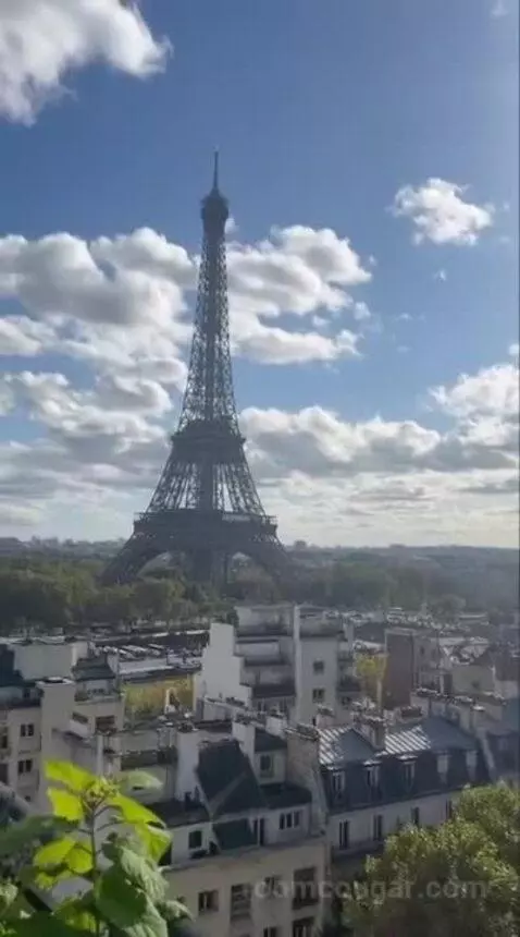 La Suite Chaillot view picture #5
