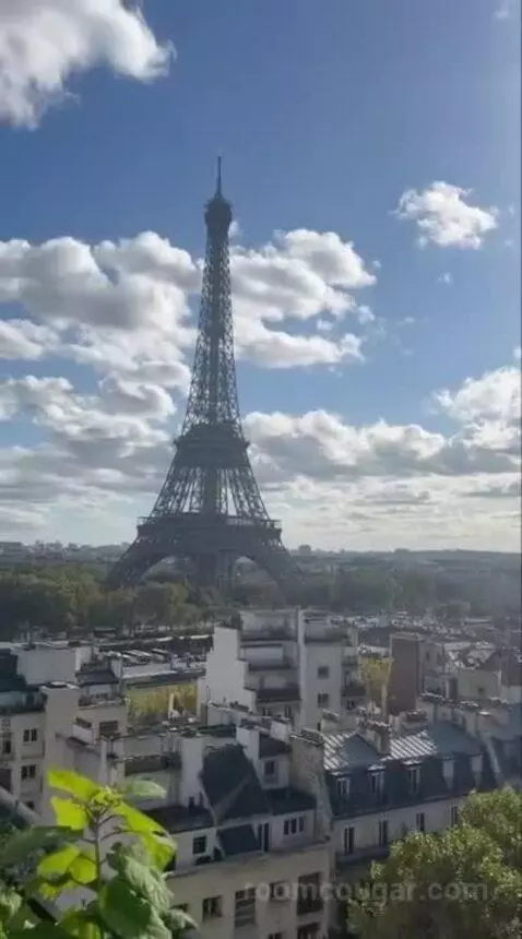 La Suite Chaillot view picture #6