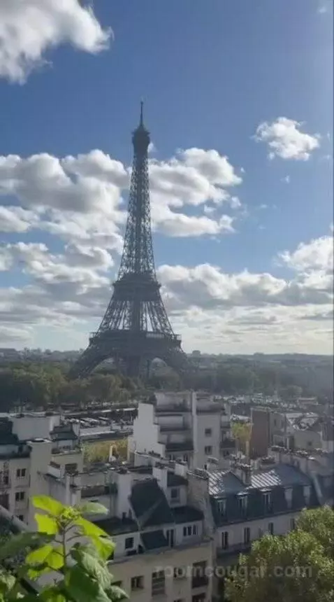 La Suite Chaillot view picture #7