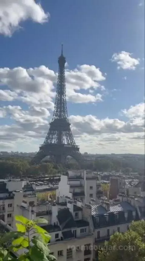 La Suite Chaillot view picture #8
