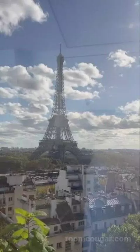 La Suite Chaillot view picture #9