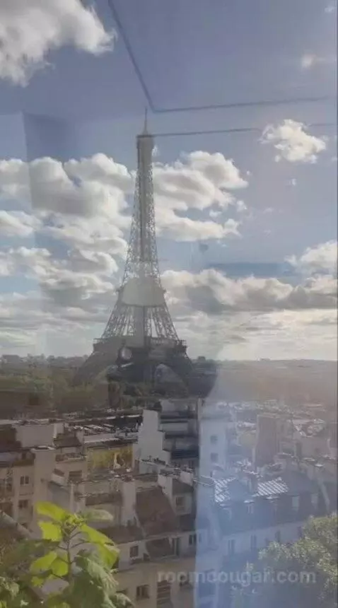 La Suite Chaillot view picture #10