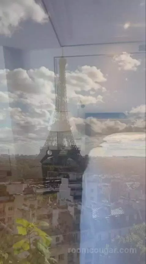 La Suite Chaillot view picture #11