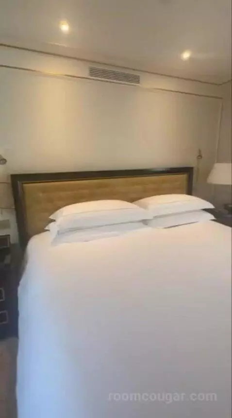 La Suite Chaillot bed picture #2