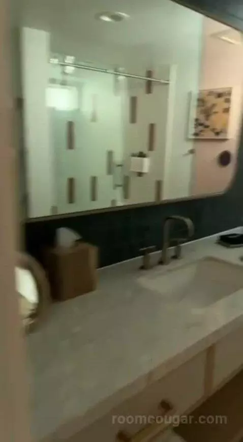 Standard (#220) bathroom picture #6