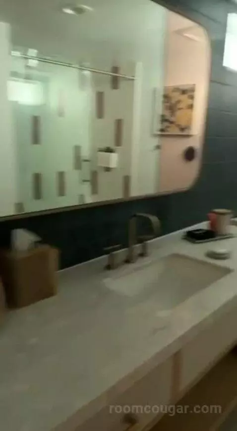 Standard (#220) bathroom picture #7